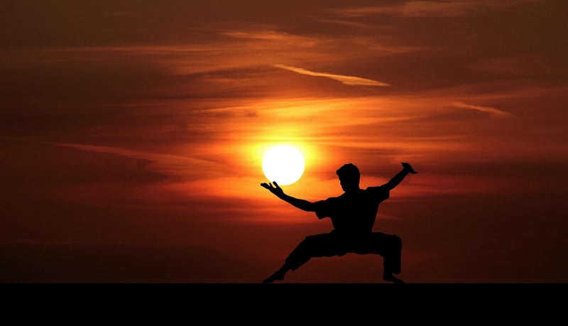 Tai Chi Practitioner