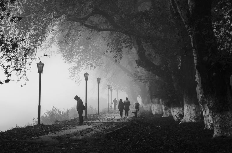 Urban Park Walking